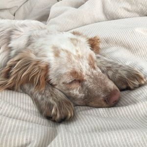 Meet your Posher, Julie